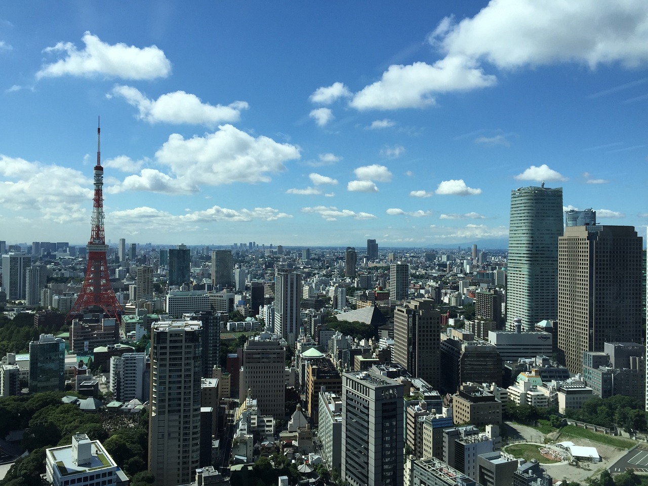 最新大庆市区地图，揭示城市发展与变迁的奥秘