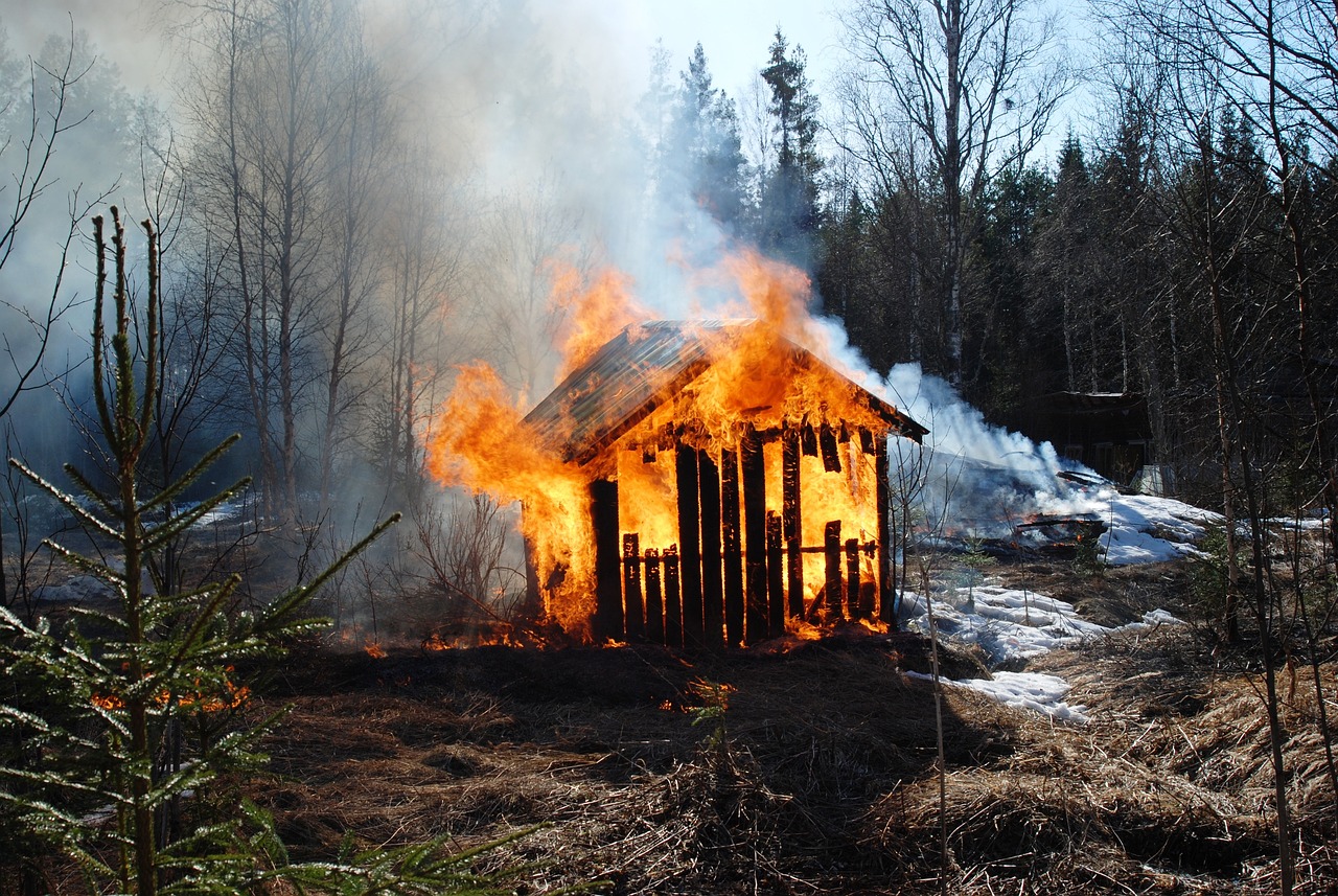 杭州保姆纵火事件最新进展与深度分析视频曝光