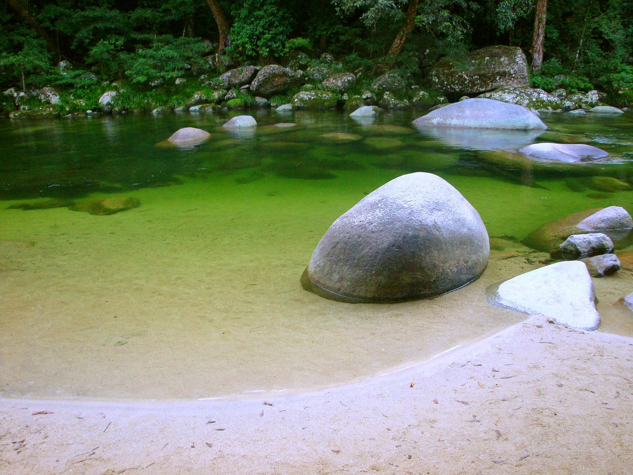 惠州千花岛，生态休闲旅游新篇章的最新动态