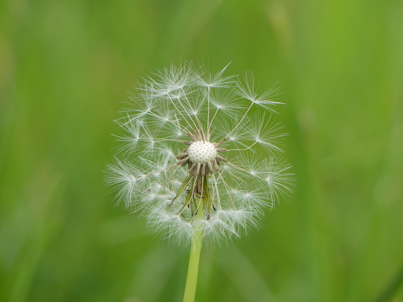 节能王最新版下载，引领节能潮流，打造绿色生活新体验